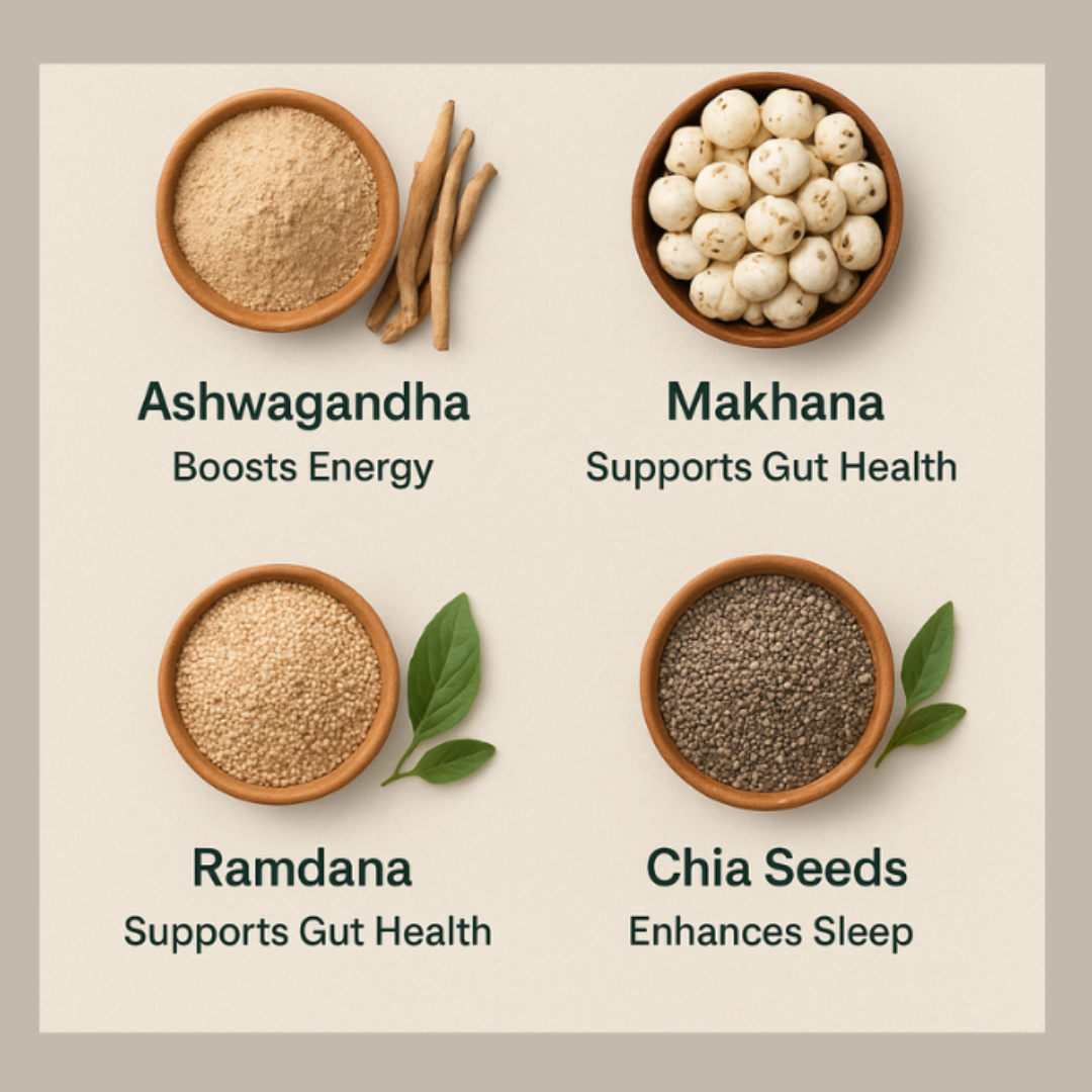 Discover How Arigoy’s Scientifically-Backed Ingredients Boost Energy, Improve Gut Health, and Enhance Sleep Naturally