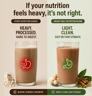 All-In-One Daily Nutrition | Hazelnut Chocolate